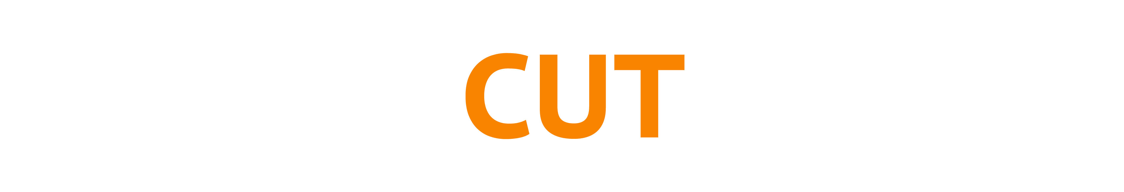 Match Cut Media